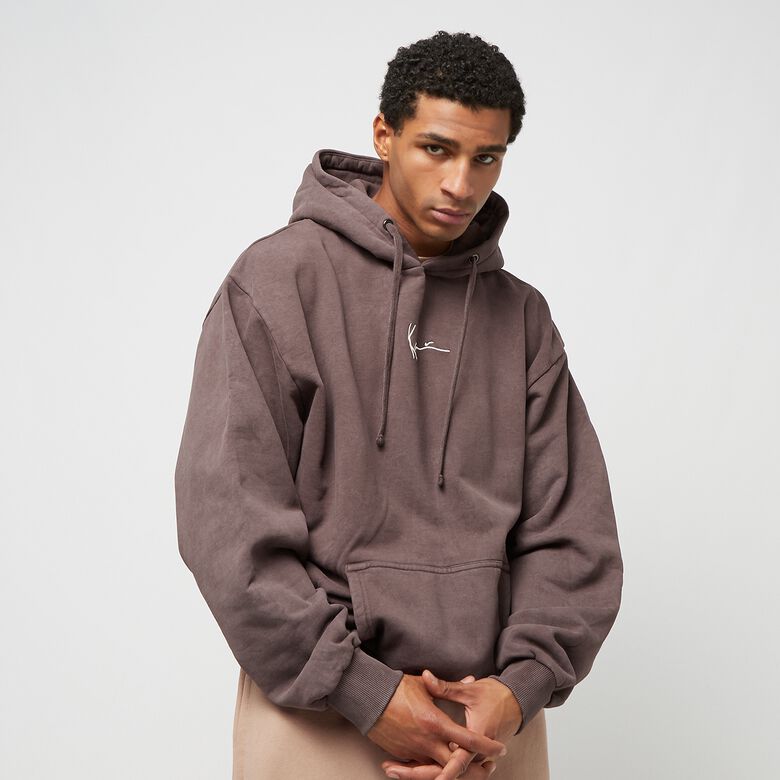 Felpa con cappuccio Small Signature OS Washed Heavy Sweat Landscape
