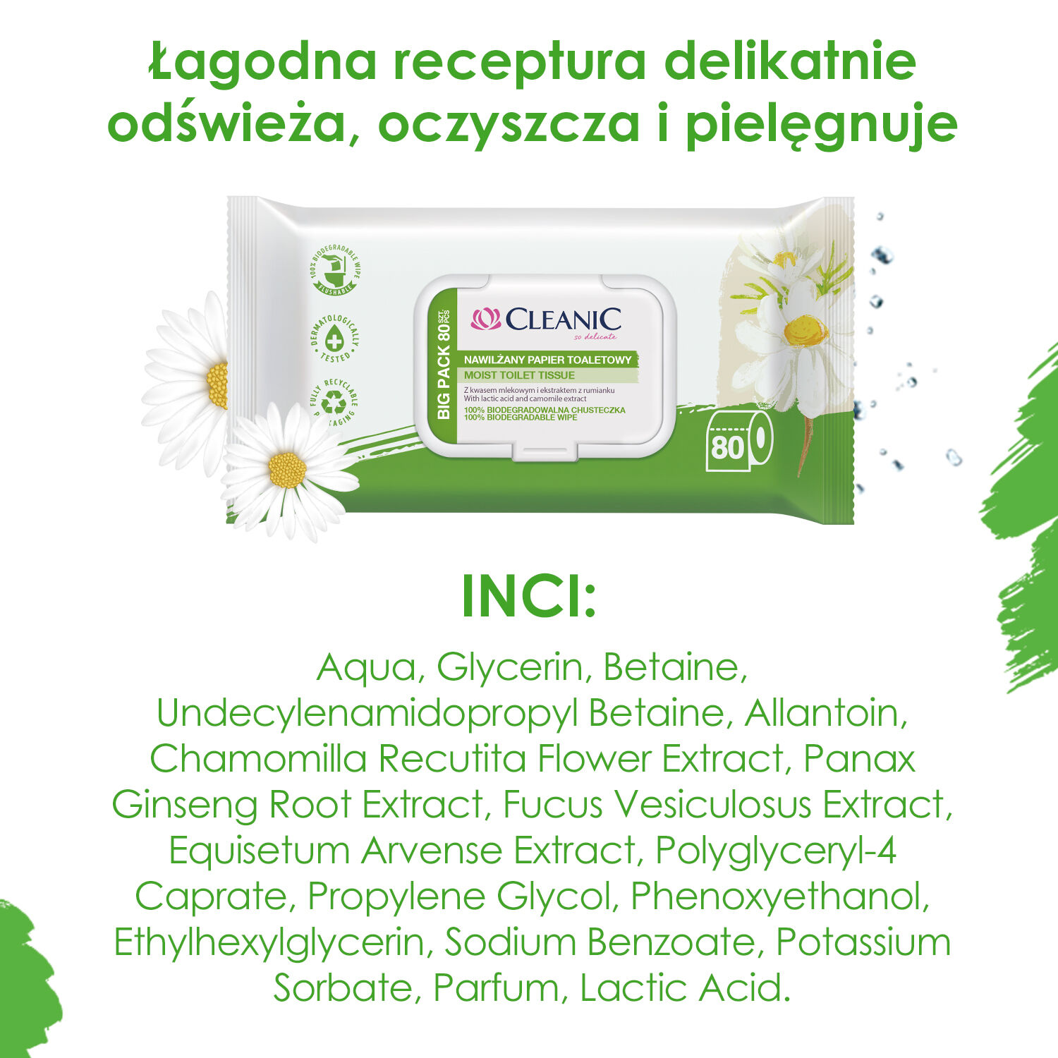 Čistilna kamilica