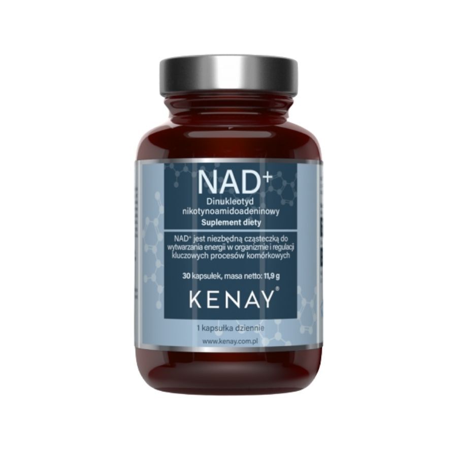 Kenay Nad+ Nicotinamidadenindinukleotid