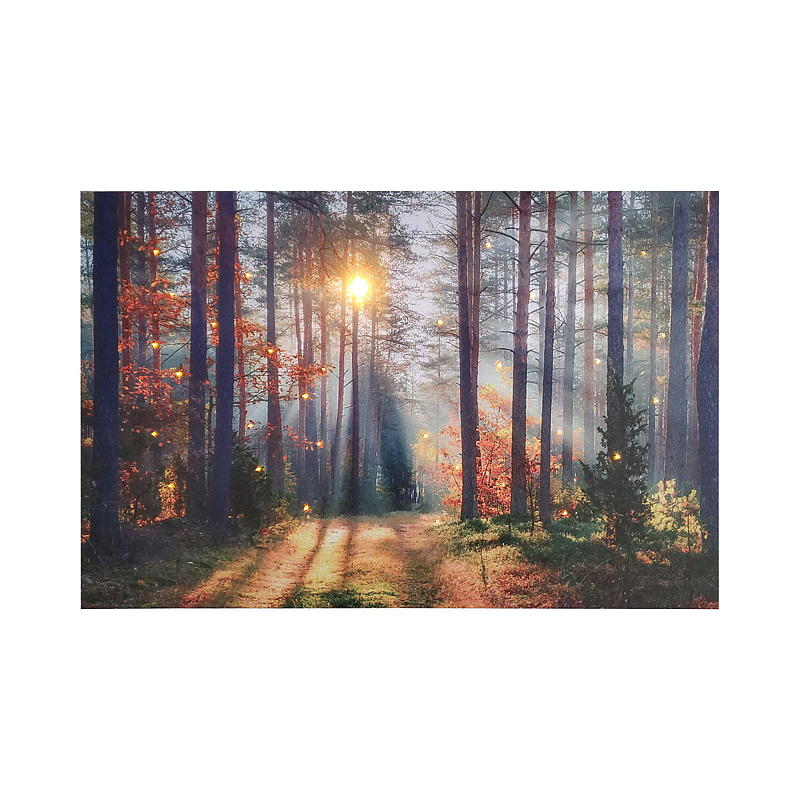 Canvasprint voor thuis, 38x58 cm, LED/glasvezeloptiek, herfst