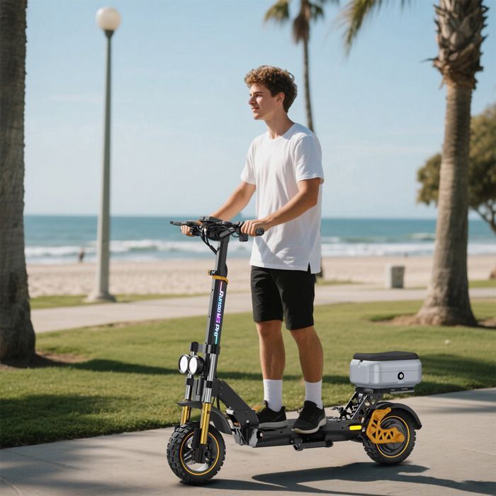 Ruitoo M5 Pro Electric Scooter, 70-80KM Range, With Seat, 1200W Motor, 48V 20.8Ah Battery, LED Headlights, Black