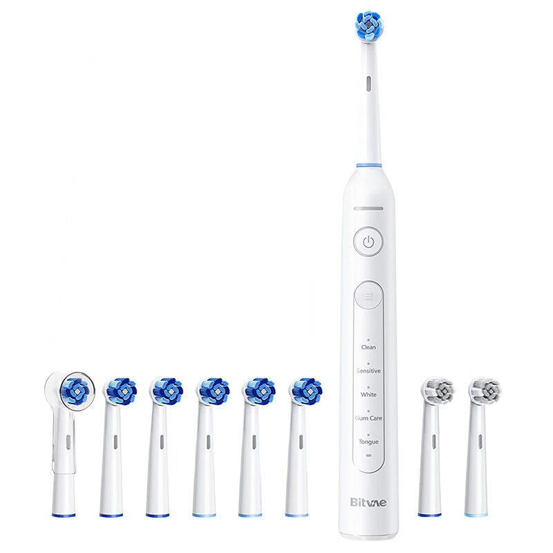 Bitvae R2