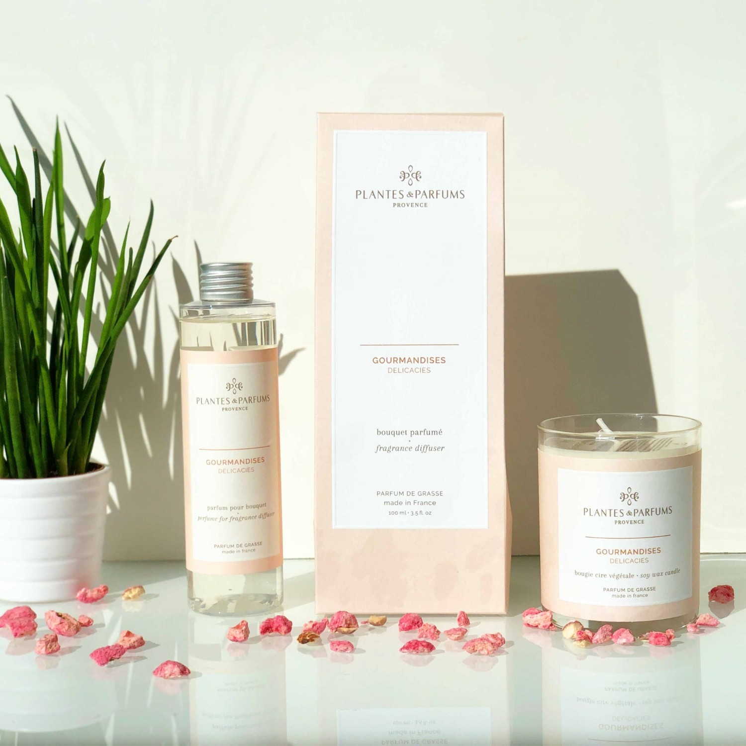 Plantes & Parfums Gourmandises