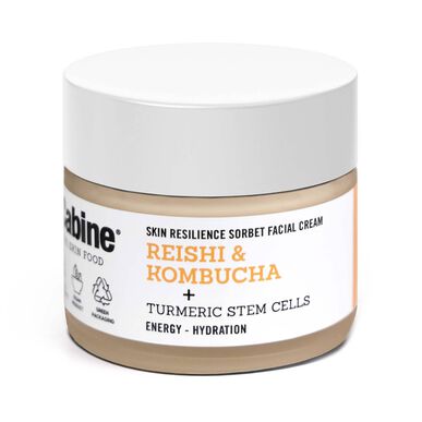laCabine Skin Resilience Sorbet -kasvovoide Elvyttävä ja energisoiva kasvovoide 50 ml 50 ml