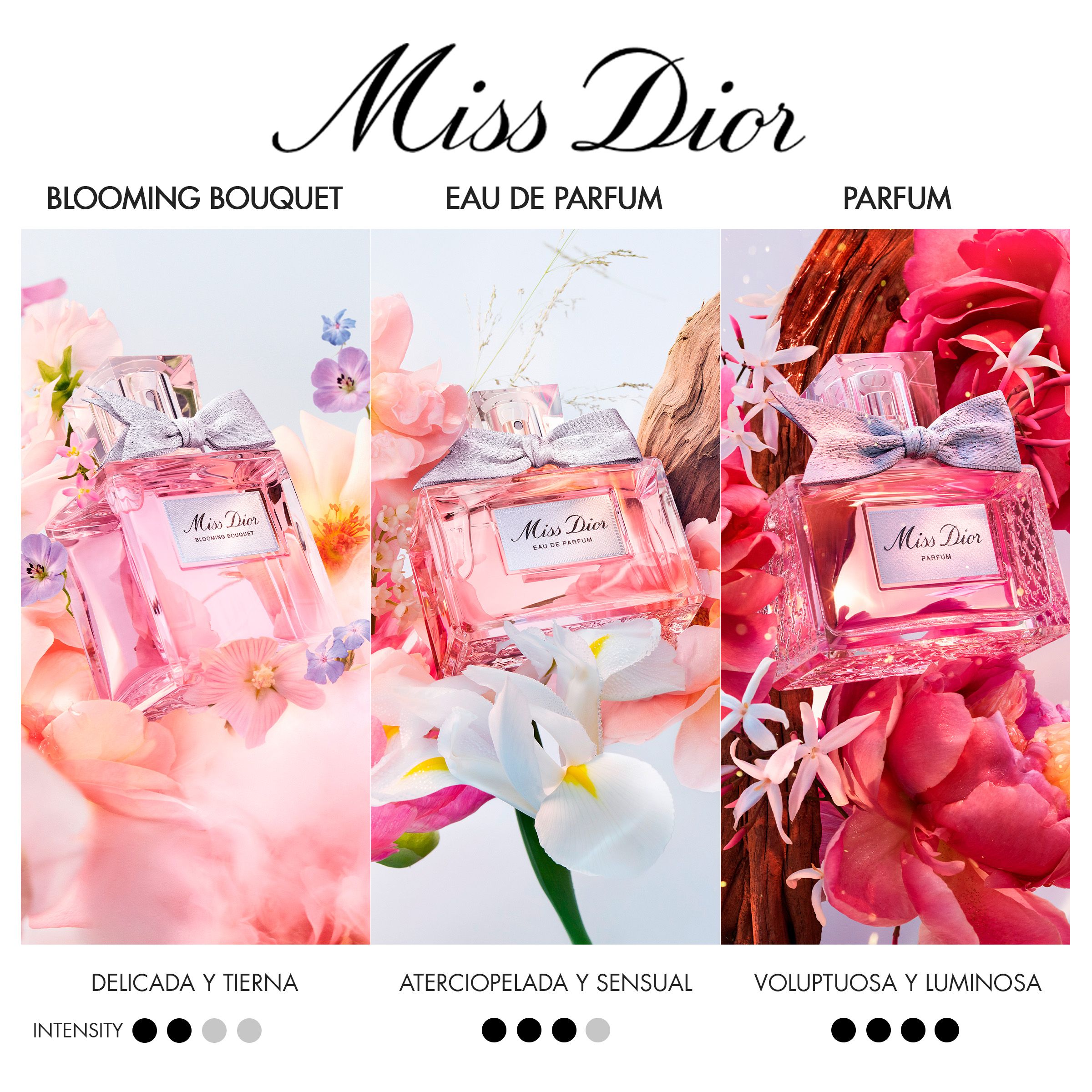 Miss Dior Parfum Ženski parfemi
