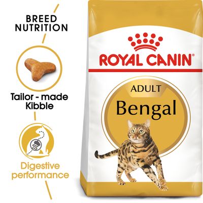 Royal Canin Bengal Adulto