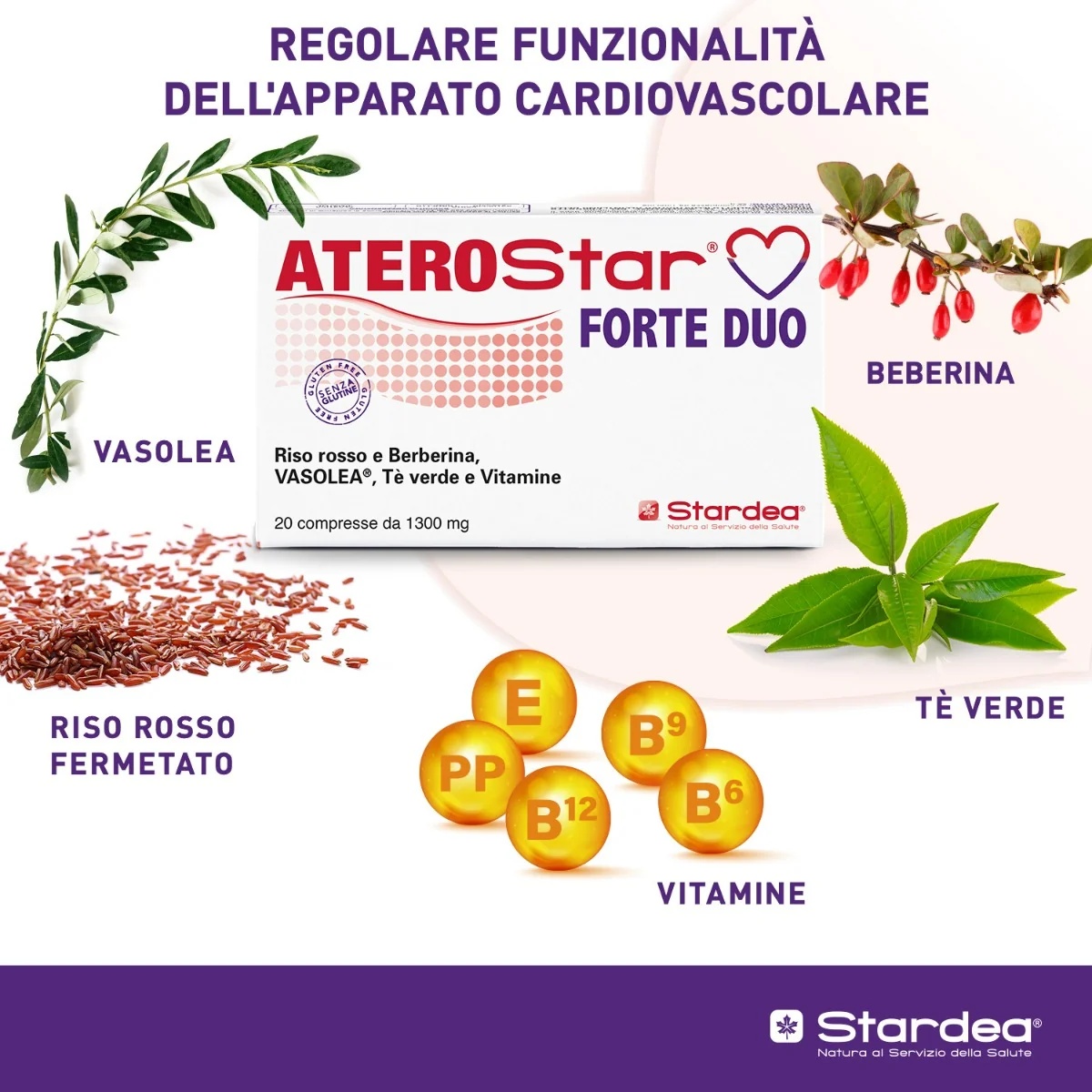 STARDEA Aterostar Forte Duo 20 tabletten voor cholesterolbeheersing
