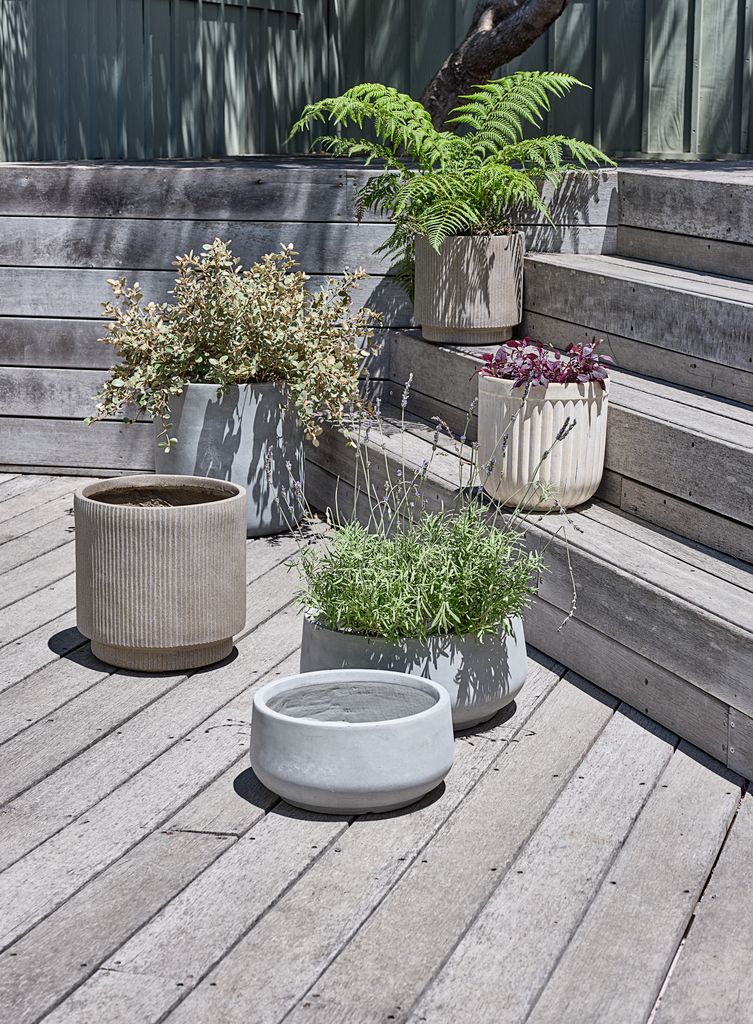 ФЛУГА саксија ФЛУГА Ø42кВ42 сива