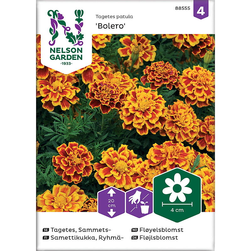 Nelson garden Seeds fløjlsblomstbolero, lav