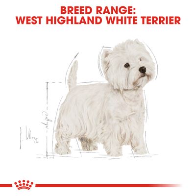 Royal Canin West Highland White Terrier Adult -koiraruoassa