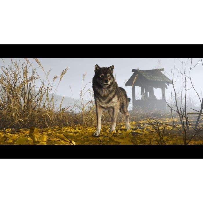 Fantasma de Yōtei - Jogo para PS5