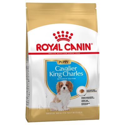Chiot Royal Canin Cavalier King Charles