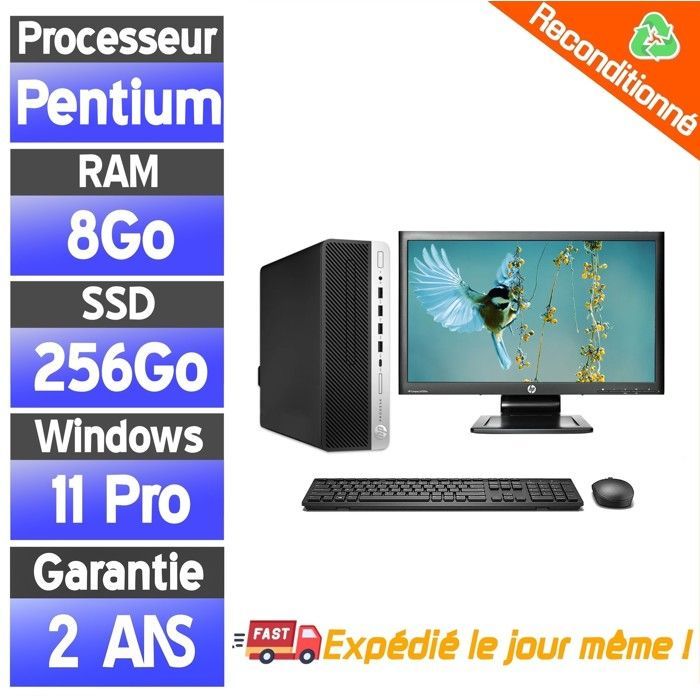 PC desktop HP ProDesk 600 G3 SFF ricondizionato, 8 GB di RAM, SSD da 256 GB, Pentium G4400, schermo da 22 pollici