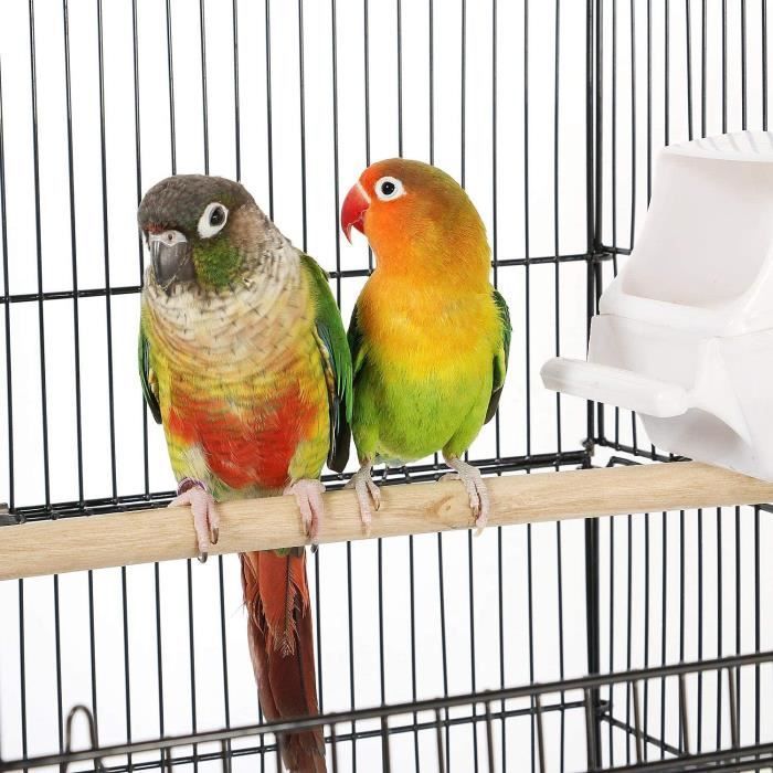 Cage Oiseaux Volière de Perroquet Canaries Perruche Canaris avec Poignée Portable