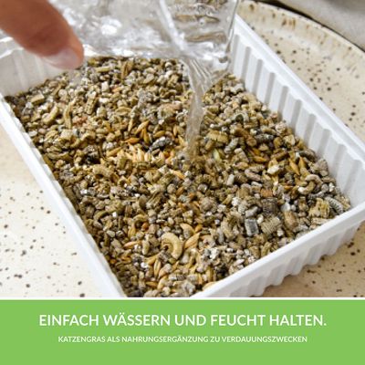 GimCat Hydro-Gras