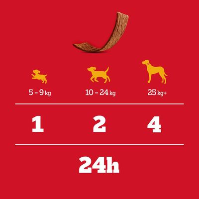 Stamboom Schmackos
