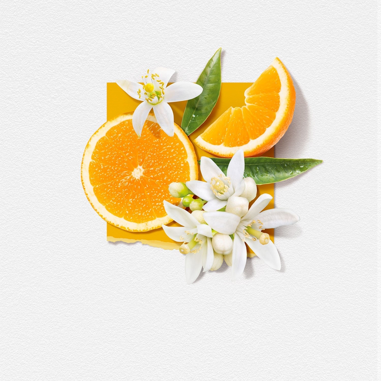 SOLINOTES Fleur d'Oranger Crème Mains 30ml