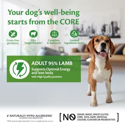 Wellness Core Adult 95% Single Protein Mokra karma dla psów z jagnięciną i dynią