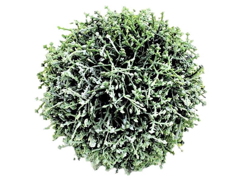 Sztuczna roślina Kula 11 cm zielona