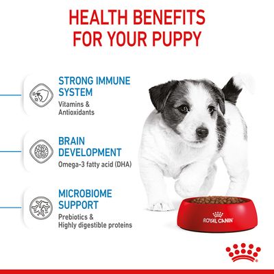 Royal Canin Mini Puppy