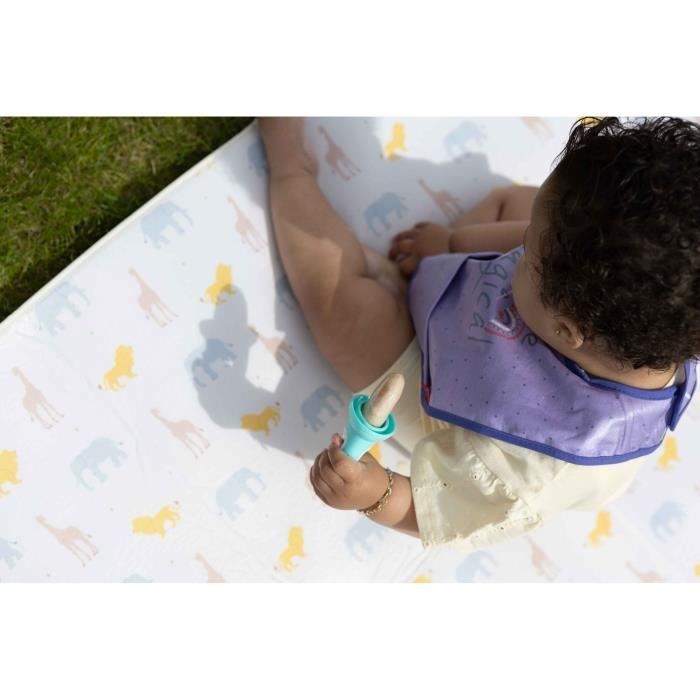 Moldes para paletas heladas - NUBY - Frutas - 4 palitos