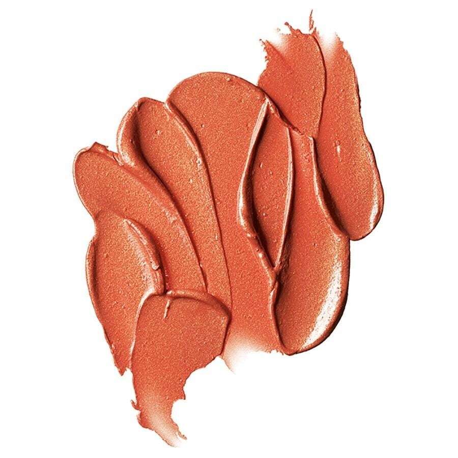 MAC lūpų dažai „Frost“ – 3 g