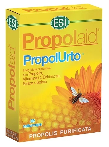 ESI Esi Propolaid Propolurto 30 capsules versterkt het immuunsysteem.