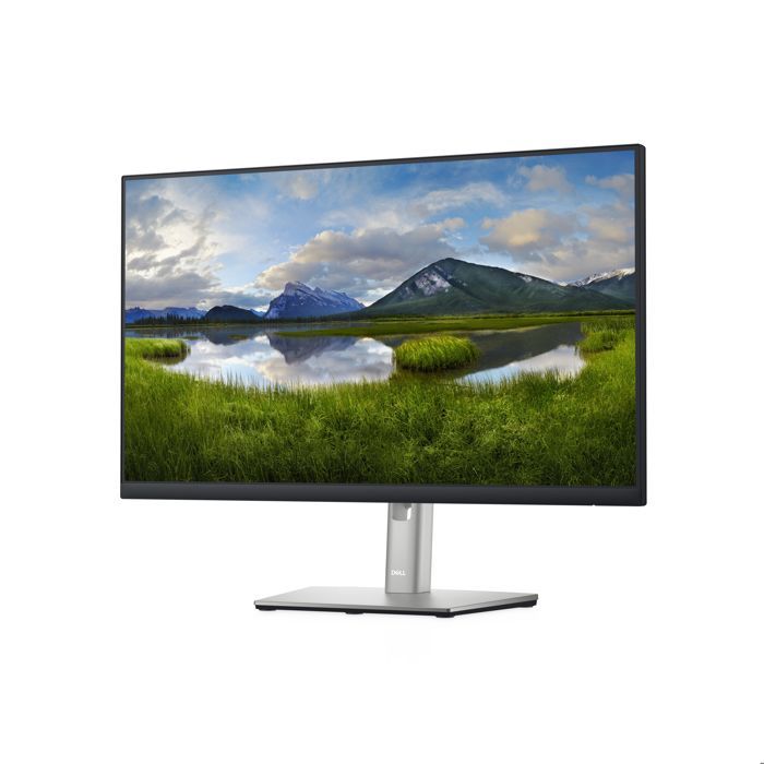 Dell P2422H 24