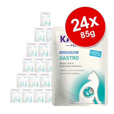 Θήκες Gastro Kattovit 24 x 85g