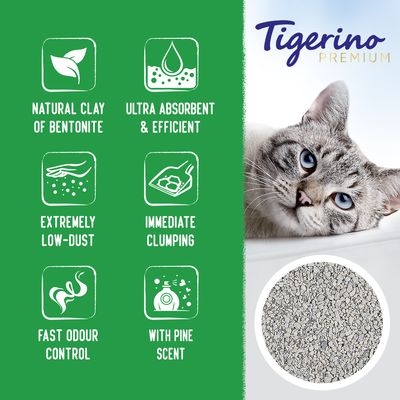 Tigerino Special Edition / Żwirek dla kotów Premium - sosnowy