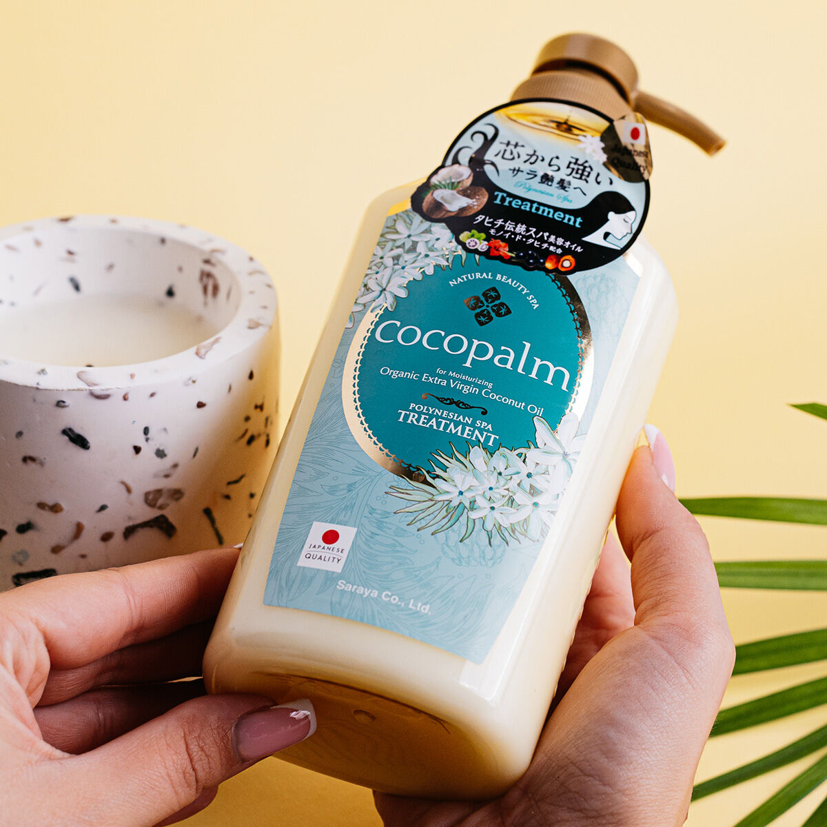 Palma da cocco polinesiana