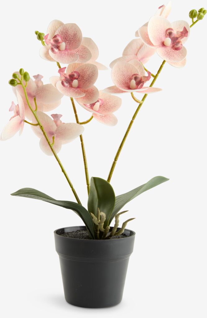 GUDJON Umetna rastlina GUDJON V35 cm roza orhideja