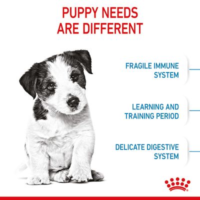 Royal Canin Mini Chiot
