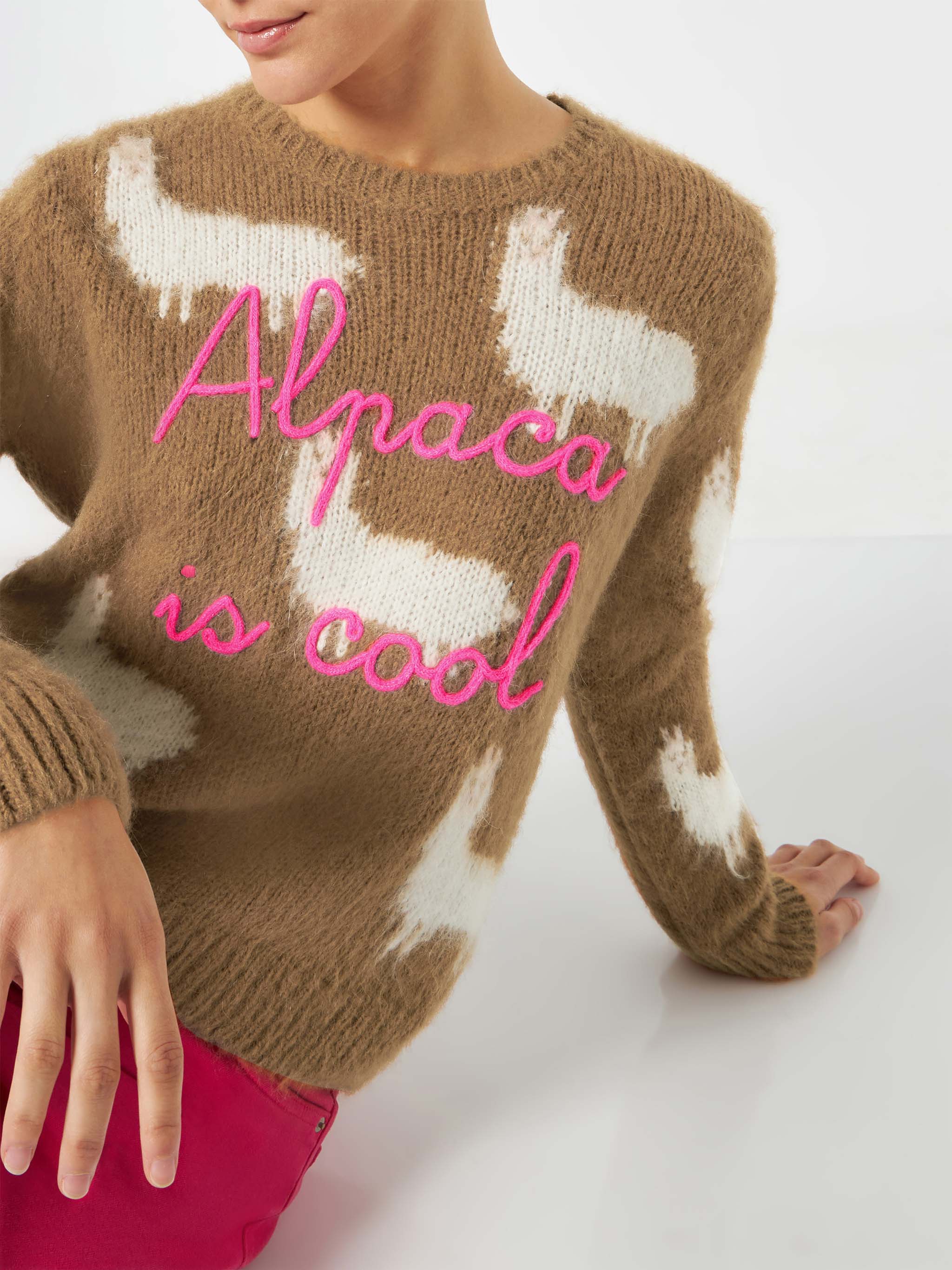 Maglione da donna garzato con Alpaca e ricamo Alpaca is cool