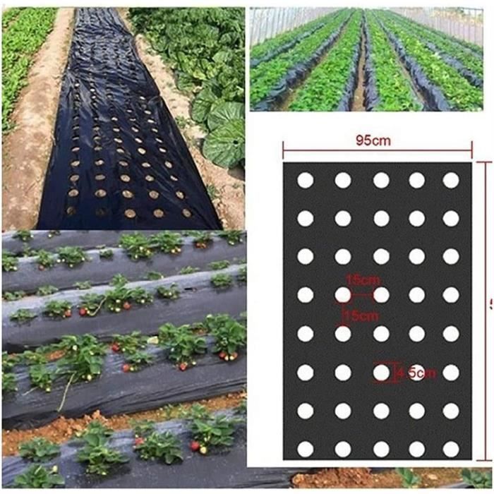 Tela plástica negra para el control de malezas en jardines - Membrana de PE - Cubierta para suelo con orificios de plantación - Película plástica para huertos