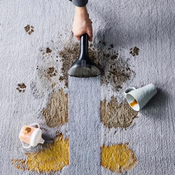 ROWENTA SOLUZIONE PULENTE PER ANIMALI DOMESTICI PER TESSUTI E TAPPETI - 1L XD5320F0