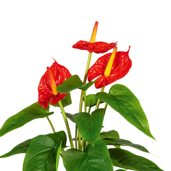 Artificial anthurium in a plastic pot, 40 cm