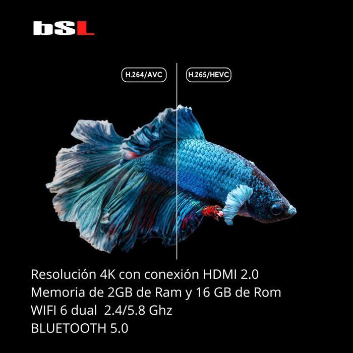 Stick Android 10.0