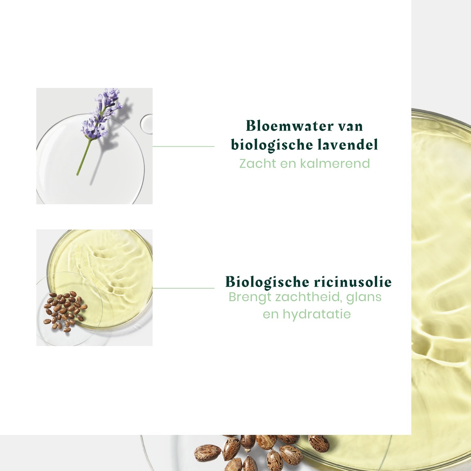 René Furterer Naturia regenerator mlijeka za raspletanje - 150 ml