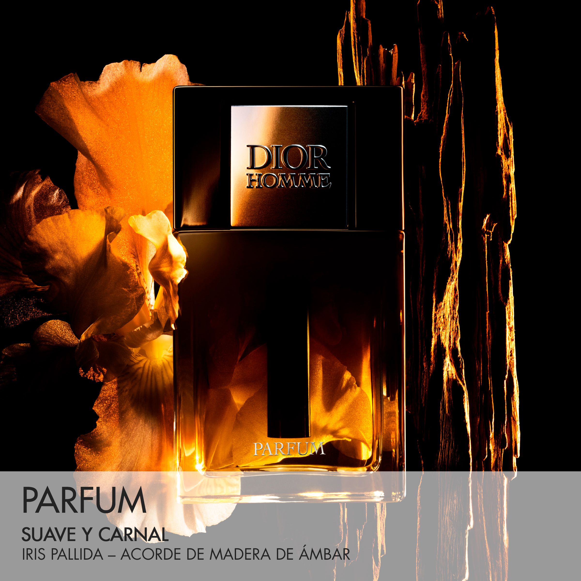 Dior Homme Parfum Parfémy pre mužov