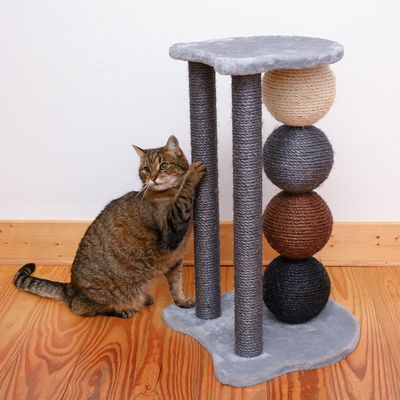Planet Scratch Post