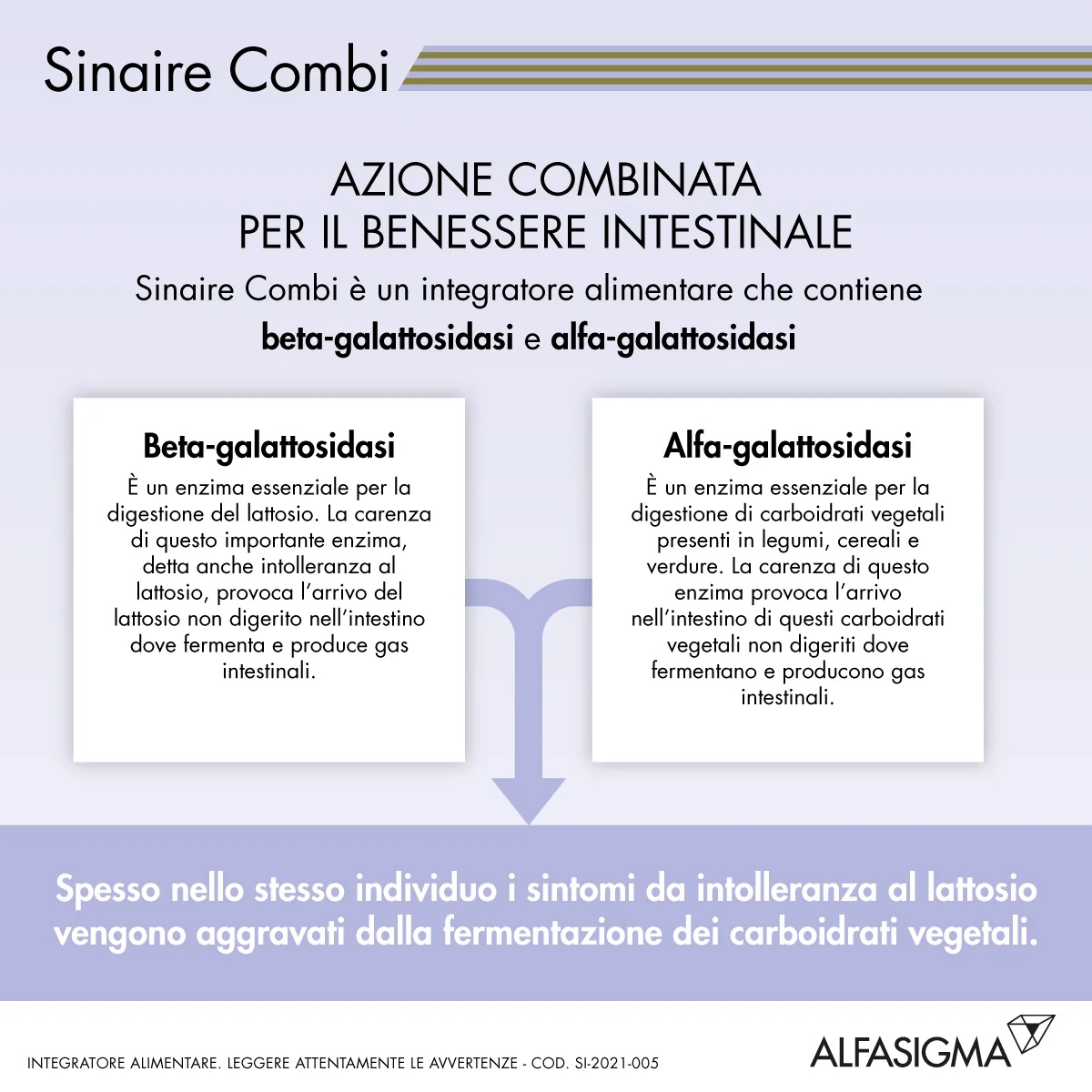 SINAIRE Sinaire Combi Suplemento Enzimático 30 comprimidos Antifermentante intestinal