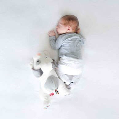 Zazu Baby Sleep Soother Dex -koirapehmolelu äänellä ja koiran itkutunnistimella 1 kpl 1 kpl