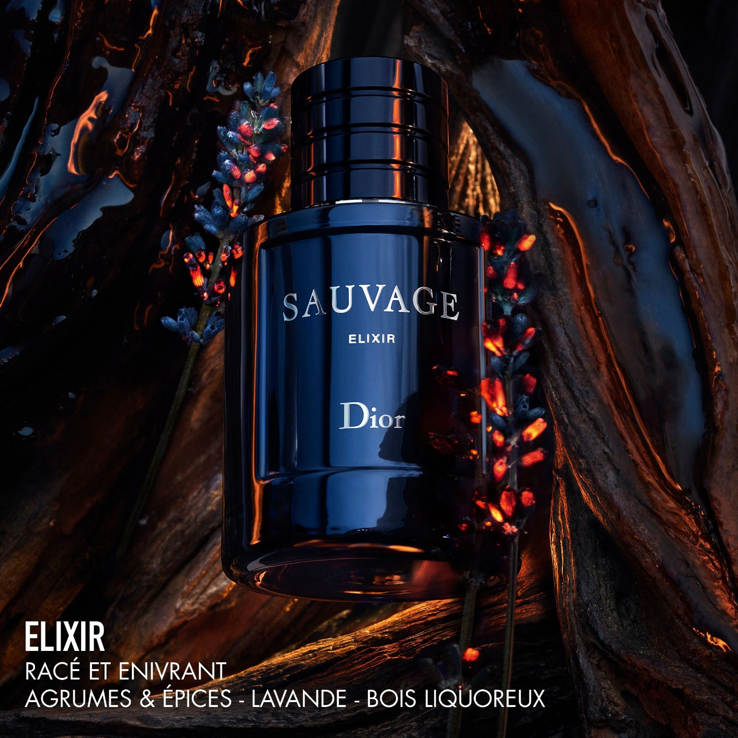 DIOR Elixir- Notes épicées, fraîches et boisées