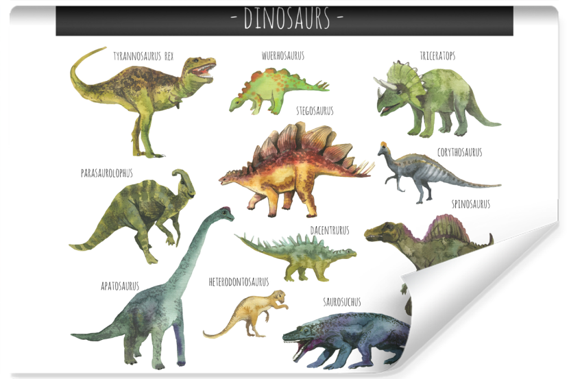 Fototapeta Akwarelowe DINOZAURY Gatunki 3D 90x60cm