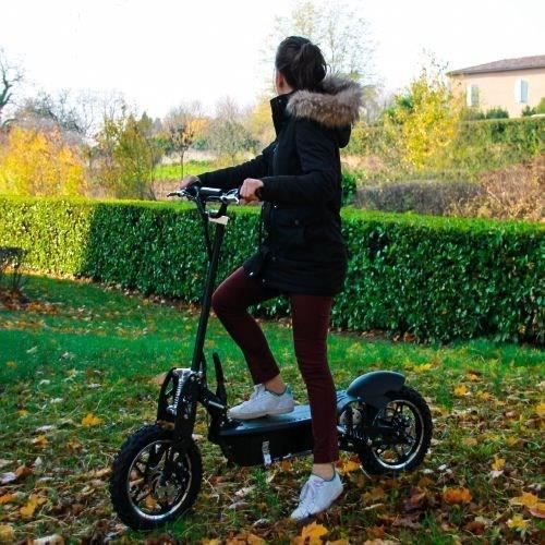 Cross Electric Scooter - BEEPER FX1000 - 1000W - Lead-Acid Battery - 36V