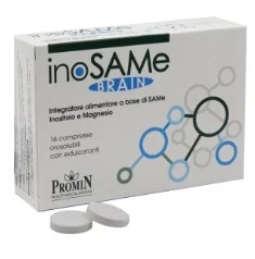 Inosame Brain 16 Tabletten