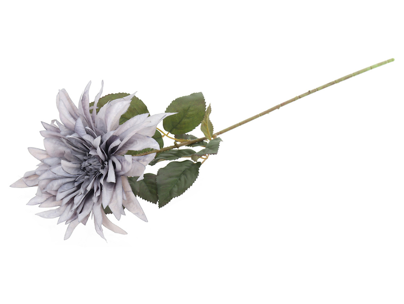 Dalia pojedyncza fioletowa