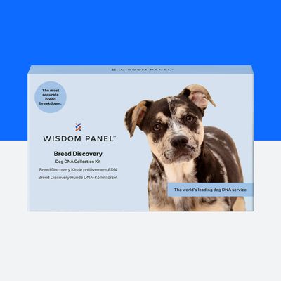 Test DNA psů Wisdom Panel™ pro objevování plemene