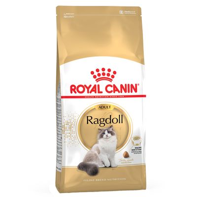 Royal Canin Ragdoll Adulto